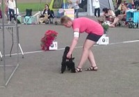 /album/luca/a11741907-10207053315869582-337485774-n-1-jpg/